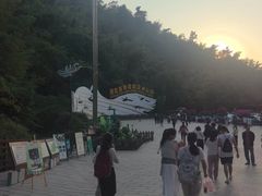 -西双版纳原始森林公园