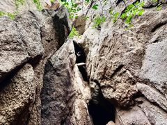 -大岭沟猕猴桃谷风景区