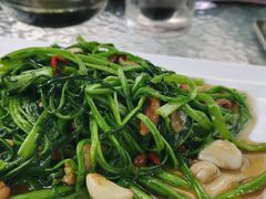 -龙记·香港茶餐厅(海上世界店)