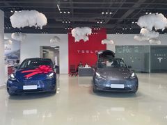 -TESLA 特斯拉(深圳观澜特斯拉直营钣喷中心)