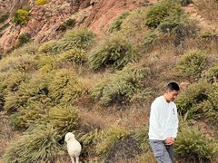 -红山国家森林公园