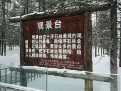 -峡谷浮石林景区