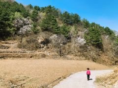 -北京山里寒舍度假酒店