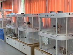 -翊宠yipet猫狗购宠庄园