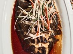 -老山东·山东菜(鲁菜名店)