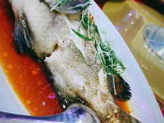 -圣丰盛宴酒家(东城店)