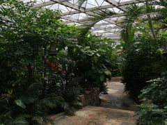 -天源吉布世温泉水乐园