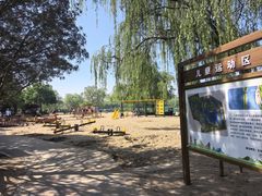 -大兴滨河森林公园