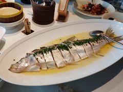 清蒸大白鱼-悦融·京鲁菜·露台花园(安定门店)
