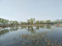 -大兴滨河森林公园