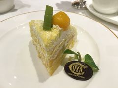 -COVA(上海K11艺术中心店)