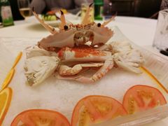 -皇朝尊会(龙之梦大酒店)