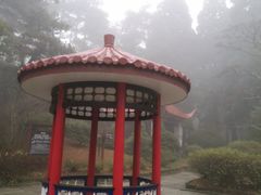 -庐山风景区花径公园