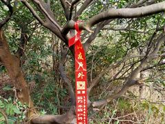 -七娘山