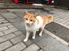 -老外街