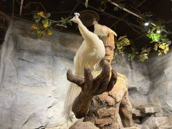 -Zoolung Zoolung动物主题公园(海信广场店)