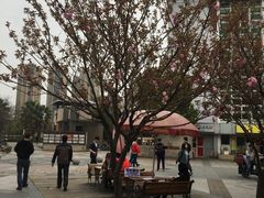 -同济大学(嘉定校区)