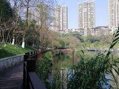 -重庆彩云湖湿地公园