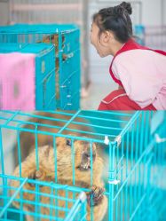 -优沃得自然教育农场·冰雪乐园·生日会·研学