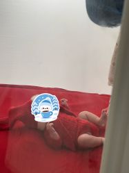点击看大图 -玛瑞莎孕婴童摄影到家拍