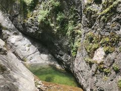 -牛背梁国家森林公园