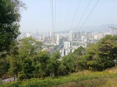 -金鸡山公园