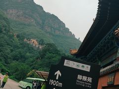-神农山景区