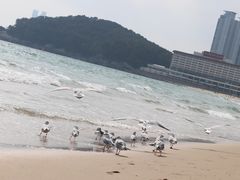 -海云台海滩