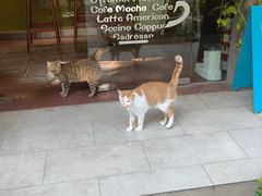 -默迹咖啡馆