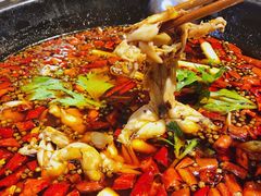 -晓彭肥肠鸡·泡椒鸡火锅(水木天地店)