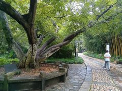 -采石矶景区