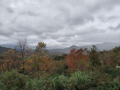 -塔川景区