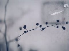 -南汇桃花村