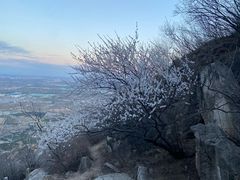 -北京凤凰岭