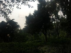 -云溪植物园