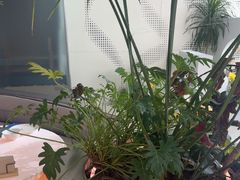 -枕水江南(铁西万象汇店)