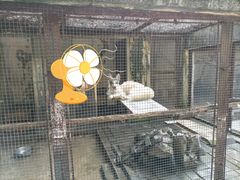 -柳州市动物园