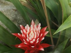 -北京植物园-展览温室