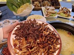 -野菌皇海景野生菌火锅(滨海大道店)