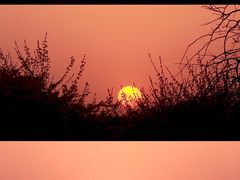 -丁香湖公园