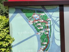 -大望京公园