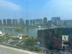 -金沙湖公园
