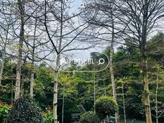 -晓港公园