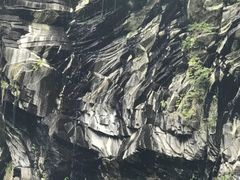 -望天鹅景区