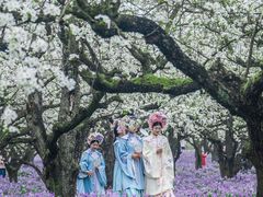 -江苏三台山国家森林公园
