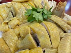 -新高记·粤菜·湛江鸡(南头古城店)