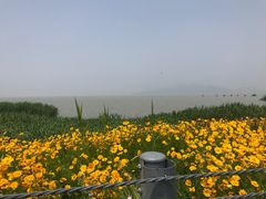 -东山风景区(洞庭东山)