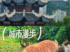 -文昌阁