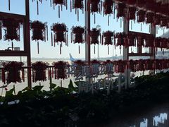 -石家庄正定国际机场-T2航站楼