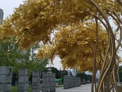 -重庆市江北嘴中央商务区中央公园